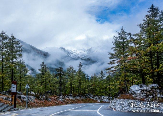 熊出没水果大陆2