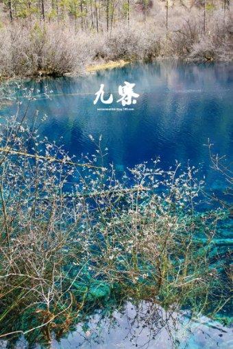 大都会人寿爱无限APP下载游戏画面