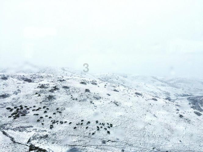 气温骤降!遂昌会下雪吗?