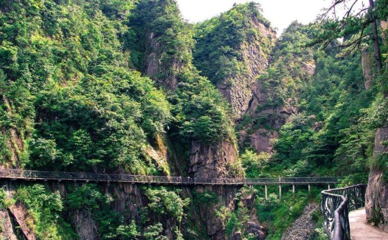 寻找沙漠珍宝