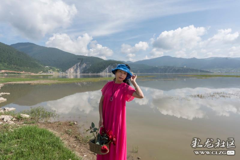 动物帮帮忙保卫家园