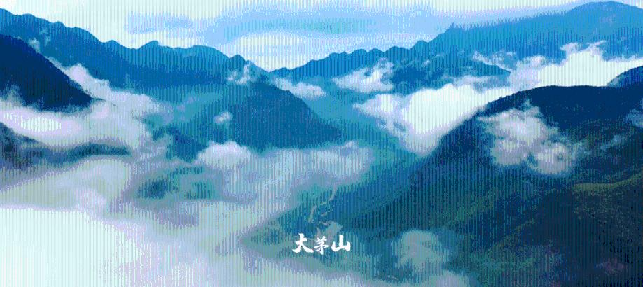 拯救吉他手男孩