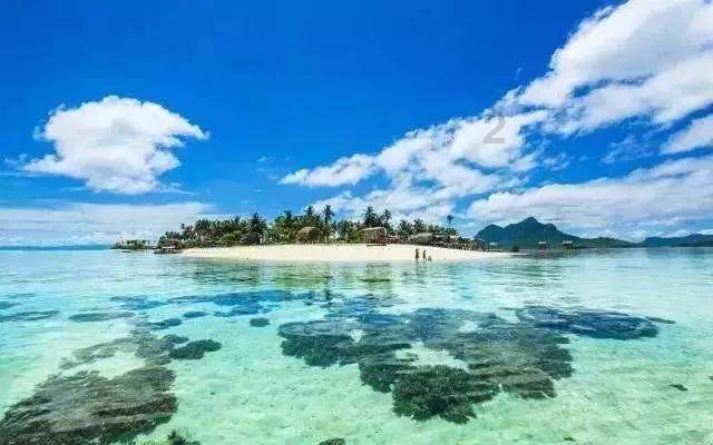夏日的婚礼