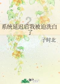 探探猫之飞天萌猫