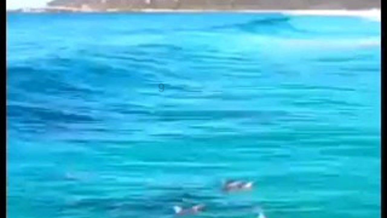 给别人上坟的时候需不需要给自己的亲人也上坟？游戏画面