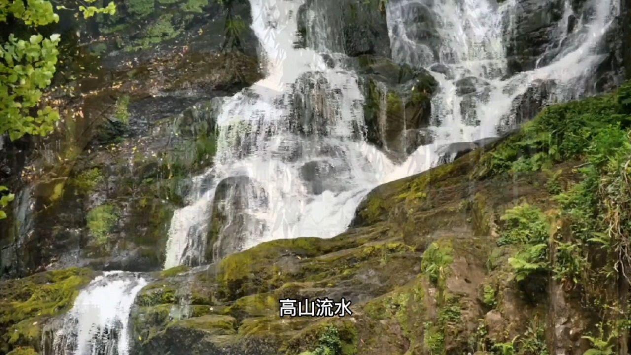 《余生请多指教》的预告片播放量近5亿，片中有哪些场景不符合医学常识？游戏画面