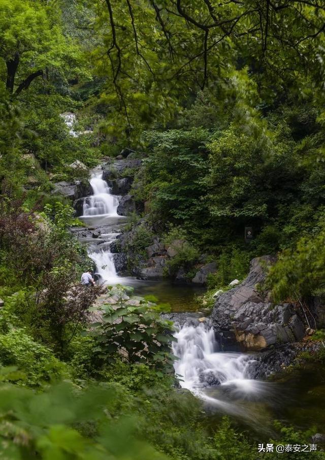 笑脸球的冒险之旅
