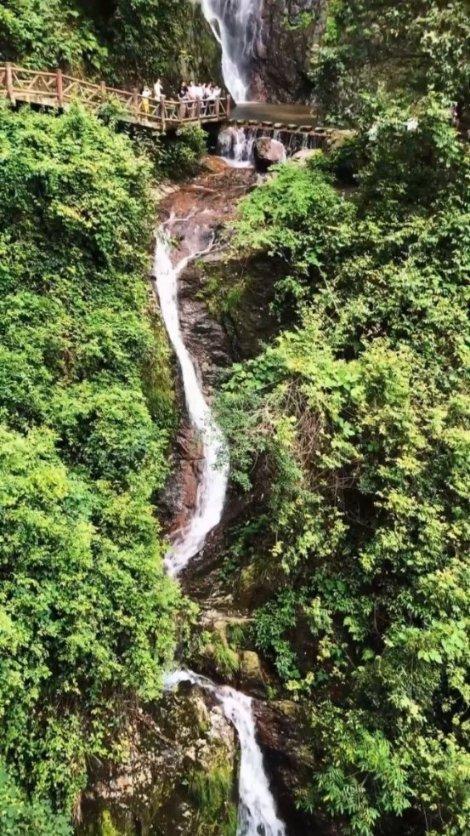 巴南区代表团建议：将中国（重庆）—东盟物流行业合作会议纳入全市西部陆海新通道系列活动统筹举办