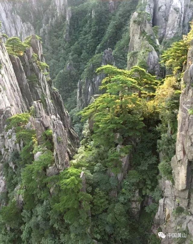 阳光女孩装扮