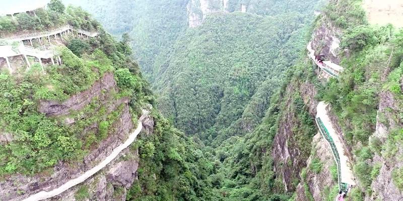 植物大战僵尸20