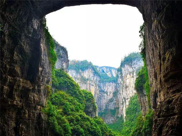 臭屁虫吃吃吃