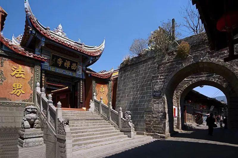 解救金刚鹦鹉