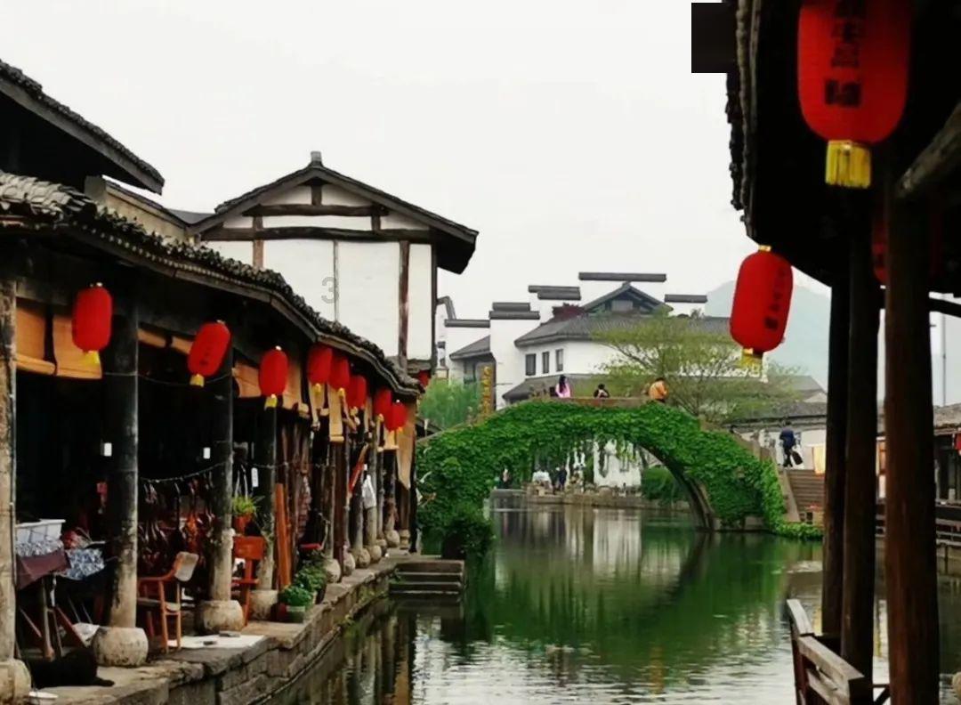 救援卡通小象