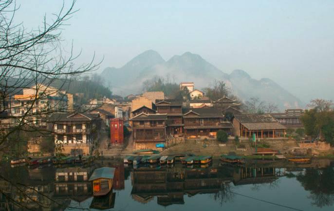 动物帮帮忙保卫家园