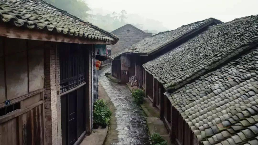 复仇机器人中文版