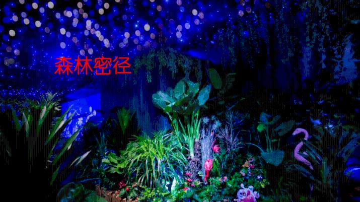 逃离整洁房屋